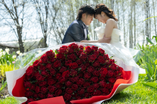 丘のうえ（Hills Studio）_上野ファーム