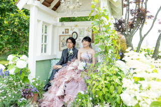 丘のうえ（Hills Studio）_上野ファーム