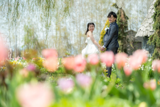 丘のうえ（Hills Studio）_上野ファーム