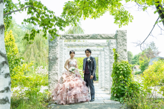 丘のうえ（Hills Studio）_上野ファーム