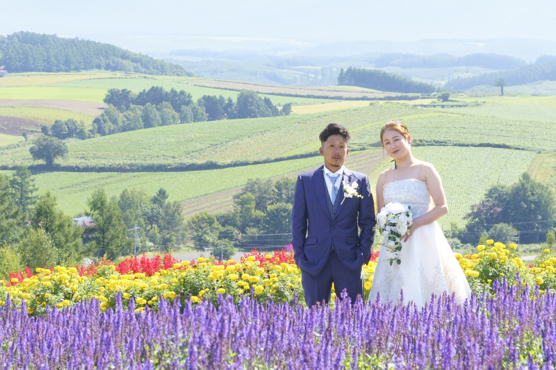 カラフルな写真