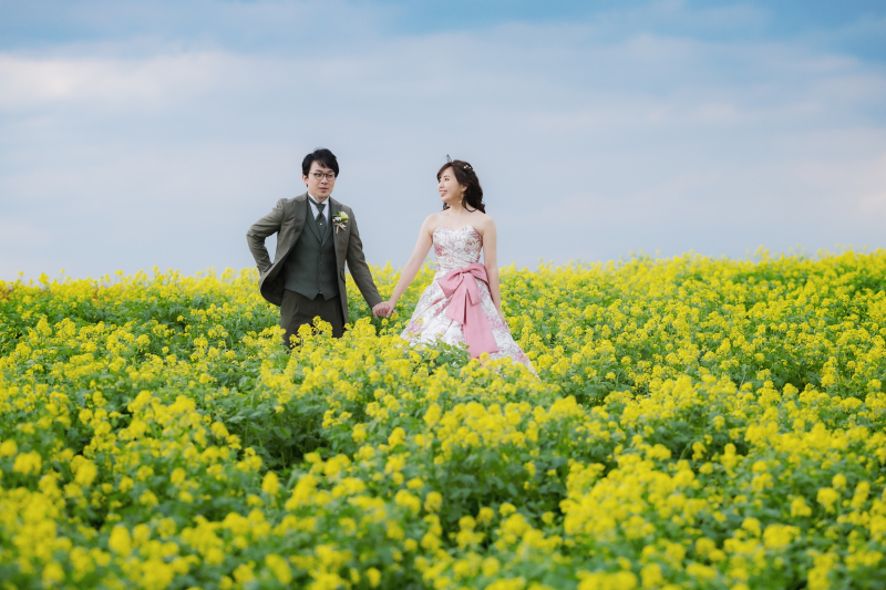 カラフルな写真