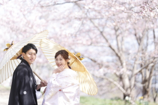 桜ロケーションフォト