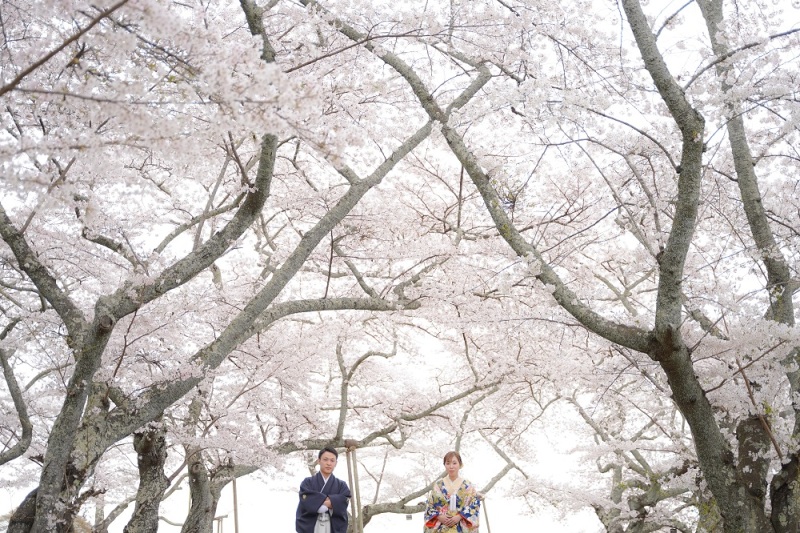 満開の桜♡