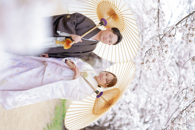 春の桜撮影