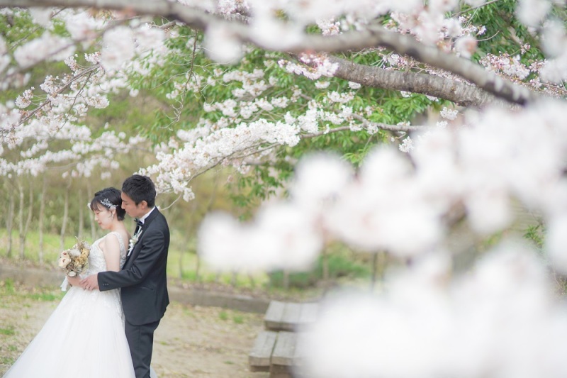 桜が満開に・・・