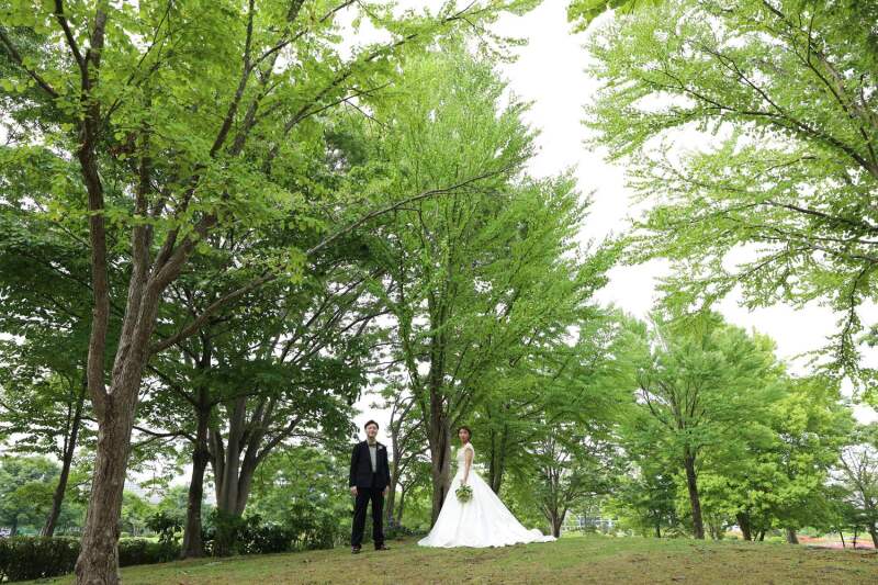 森林のなか