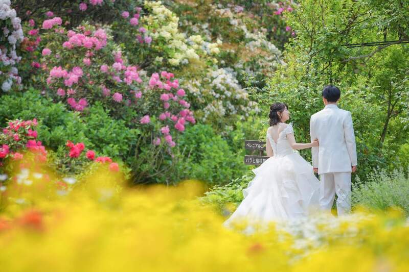 ツツジが見頃でした！