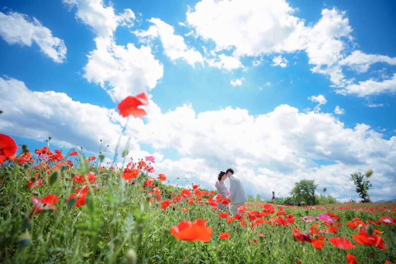ポピーフォト