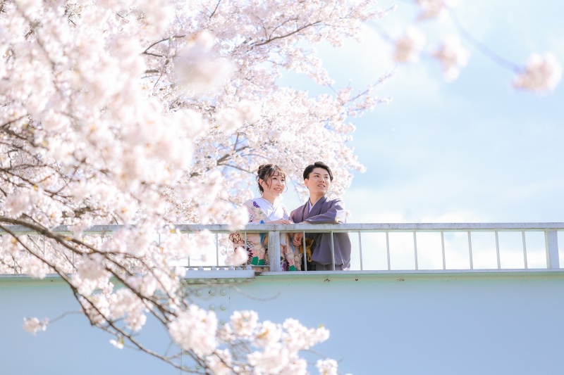 桜＆青空