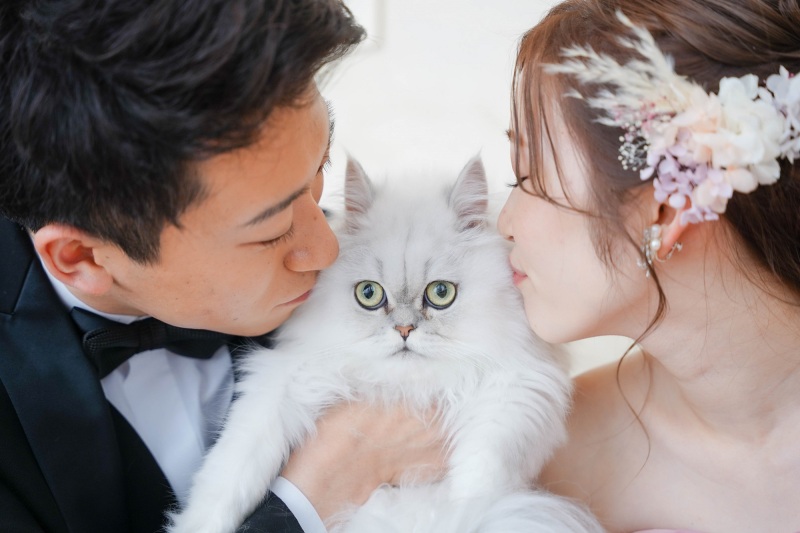 愛猫といっしょ！