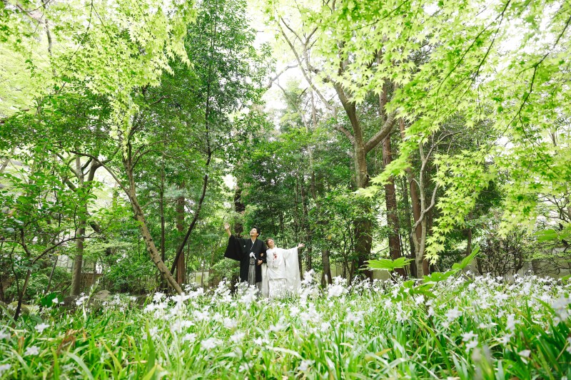 壮大に見せる写真も
