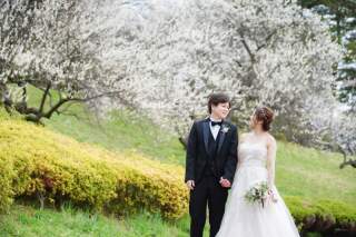 春フォト！気分は桜！
