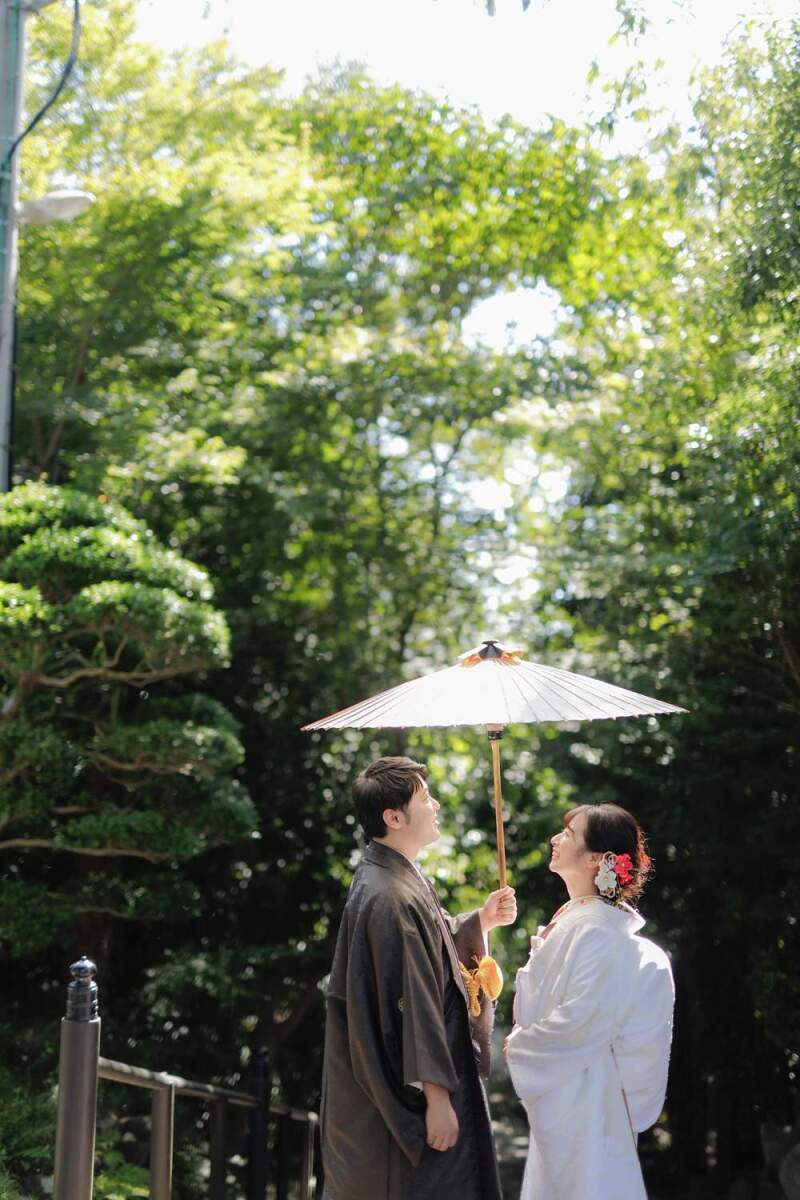 光が降り注いでいるよう