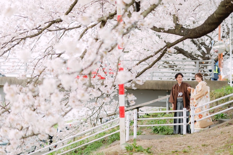 大河原一目千本桜にて!