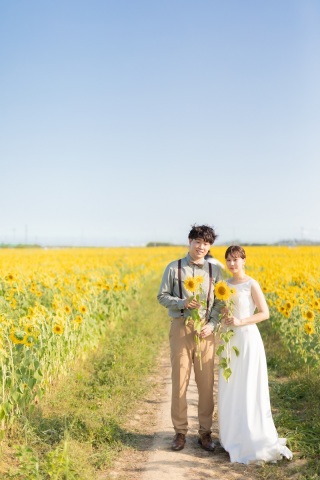 ひまわり畑撮影