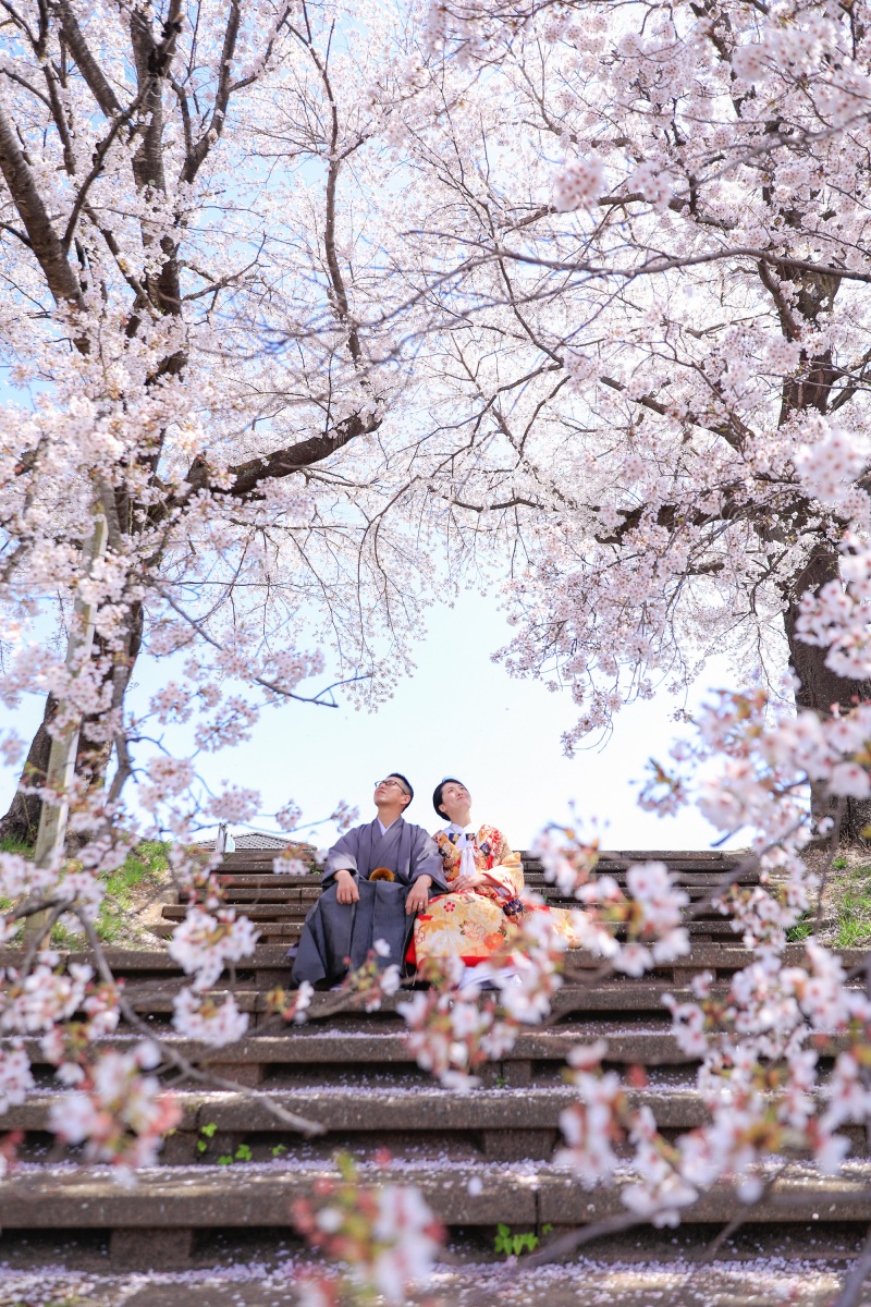 見上げた先には青空と満開の桜、、、、、