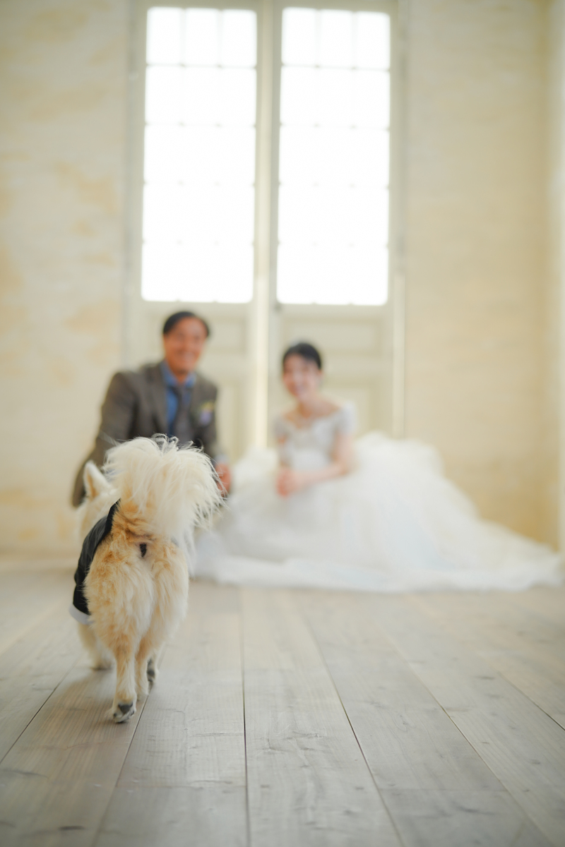 人生伴走型フォトスタジオでふたりの人生を結ぶ写真を