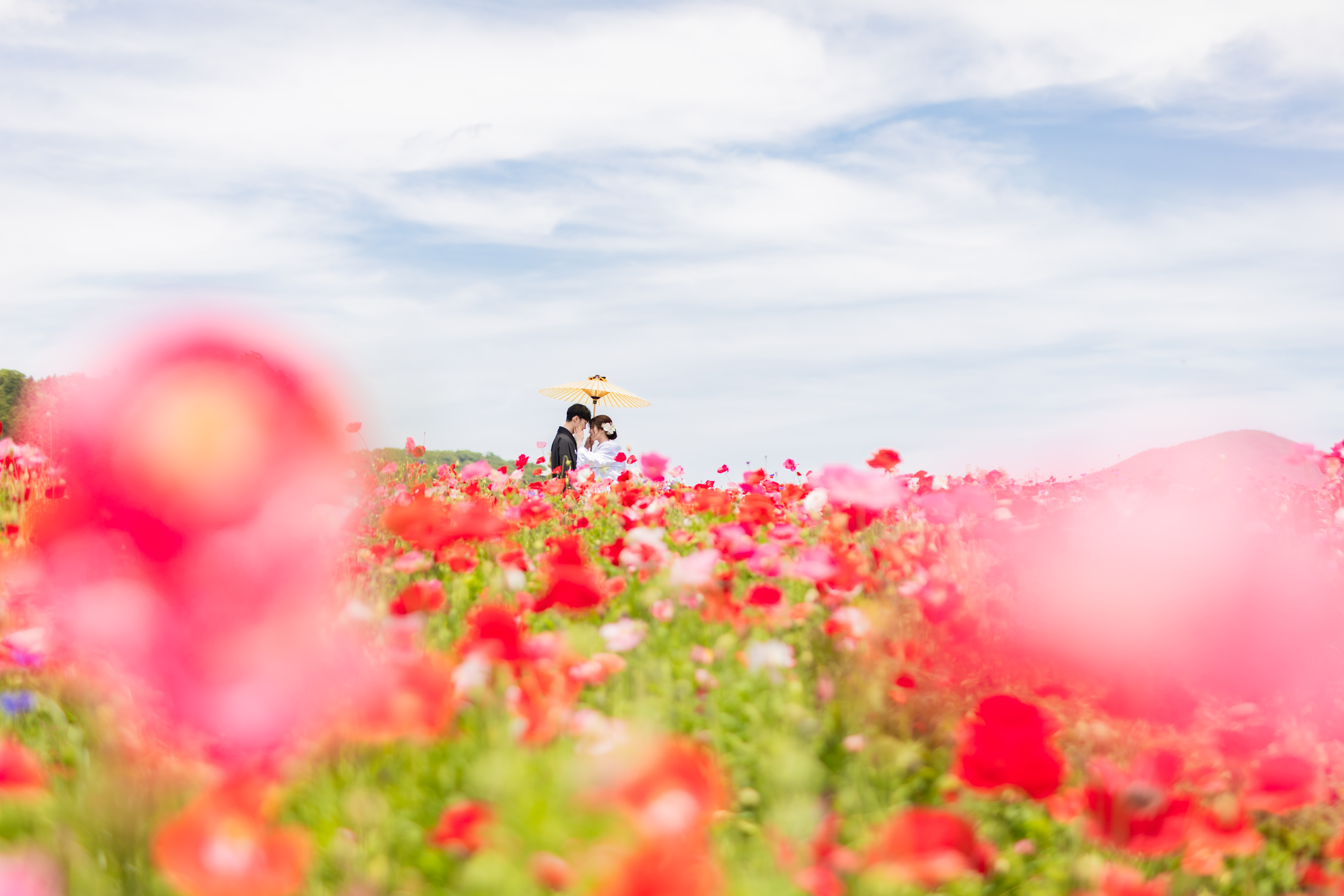 20以上ある撮影シーン