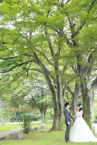 非現実的な雰囲気で