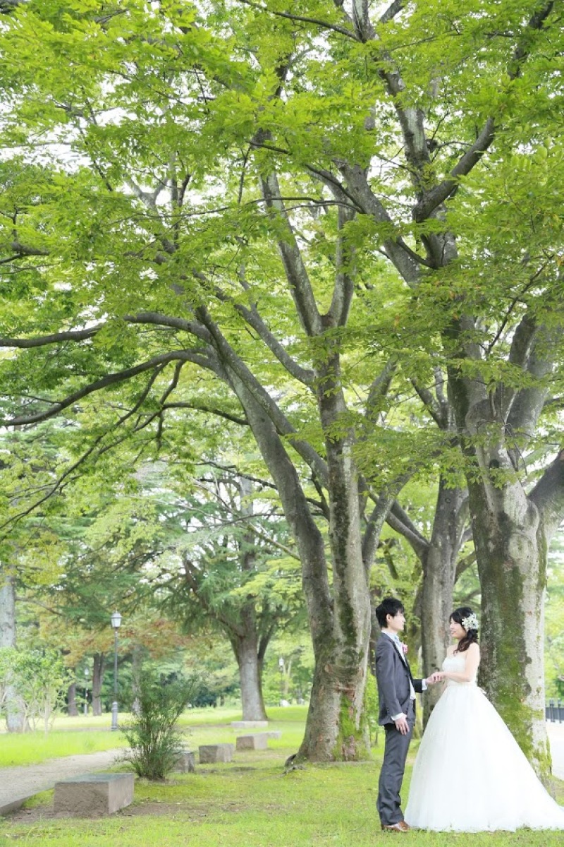 非現実的な雰囲気で