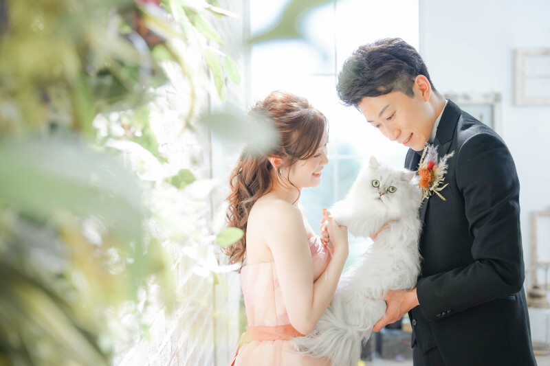 ペットと一緒にスタジオ撮影◇10カットアルバム&撮影データ込◇