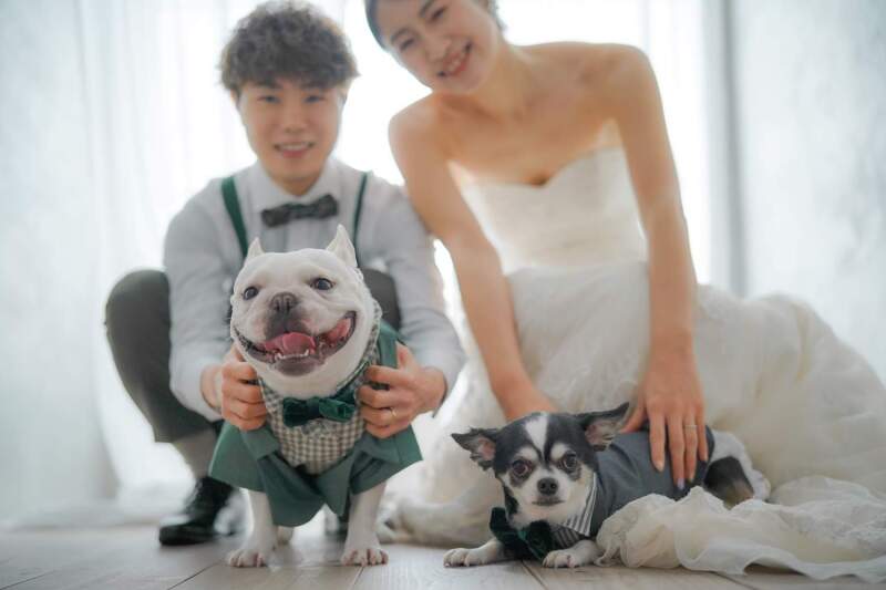 ペットと一緒にスタジオ撮影◇【全データ込み】データ即日お渡しも可能◇