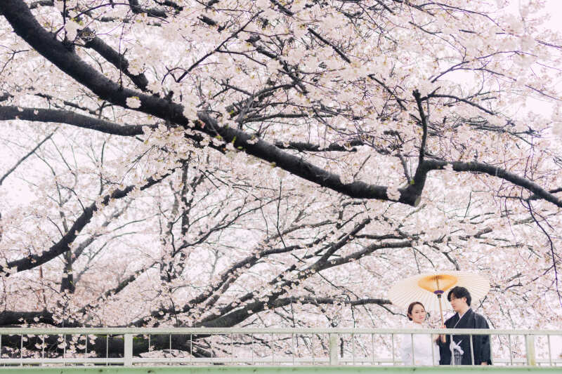 【早い者勝ち】桜早割プラン◆¥39,000でデータ10カット付き