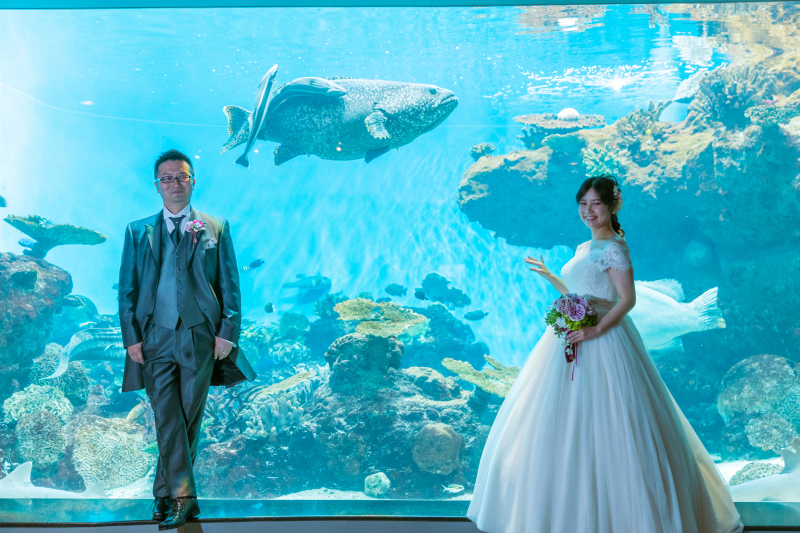 まるで海の中!こんなショットも