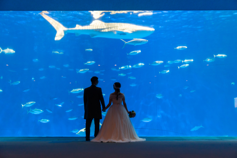 まるでアンダーザシーの世界 水族館フォト♡