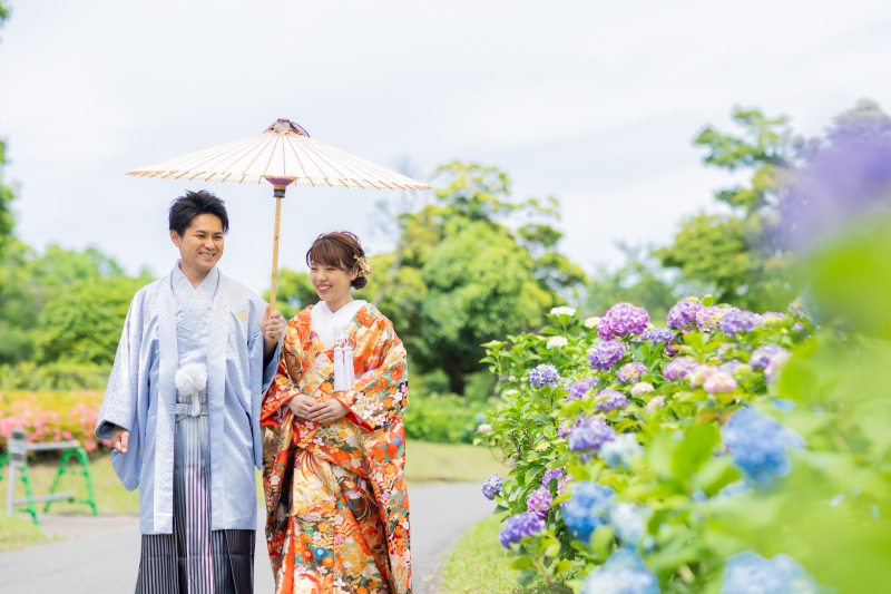 紫陽花を眺めながらおさんぽっ♪