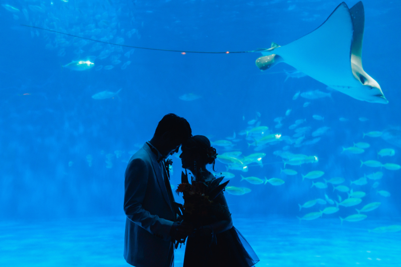 天候や気温に左右されない♪　＊スタジオ&水族館フォト＊