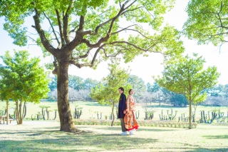 和装室内・庭園ロケーションフォト