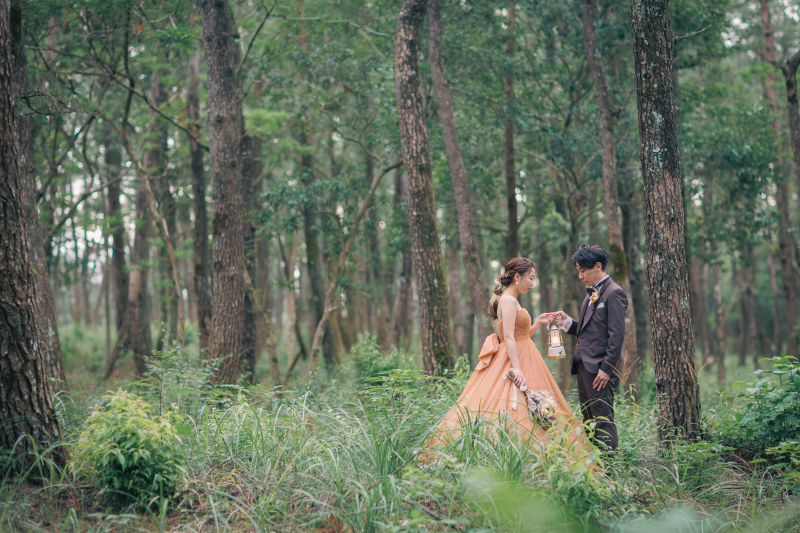 || まるで絵本の世界!?||