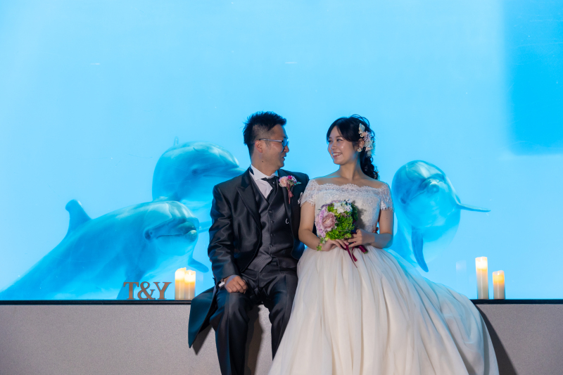 イルカ達と一緒に