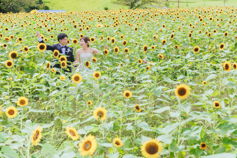 沢山の向日葵に囲まれて♡