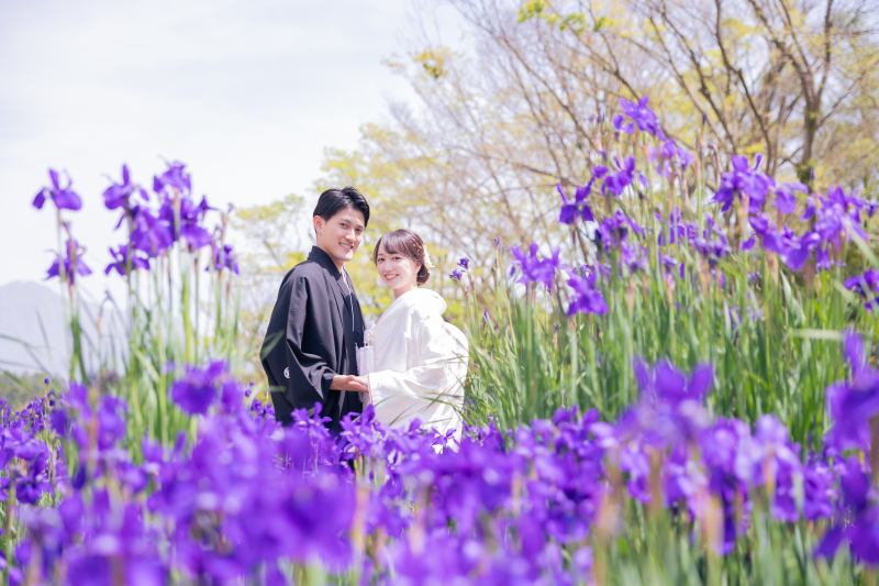 || 鮮やかな紫色 ||