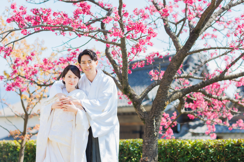 先取り春の前撮り始まります♡ *河津桜・梅・菜の花*