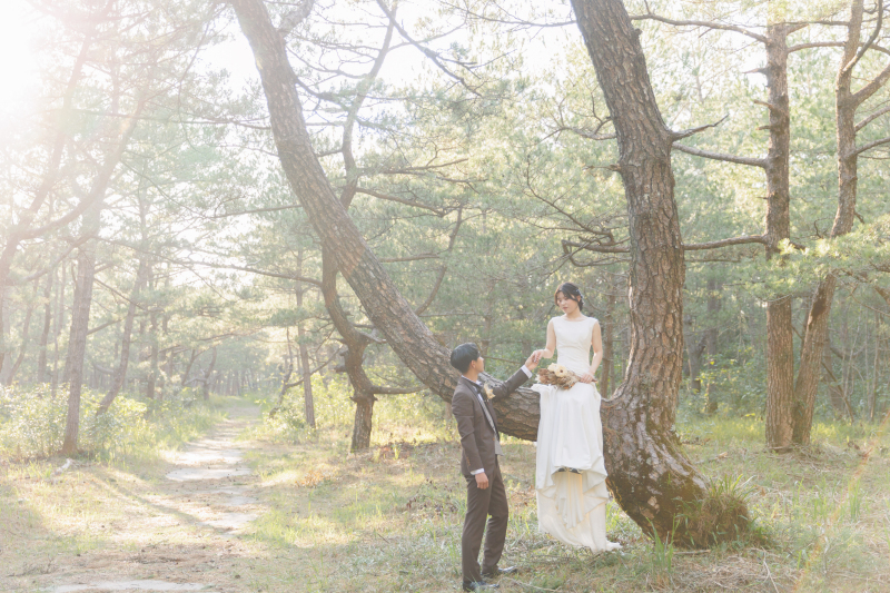 木漏れ日の中で