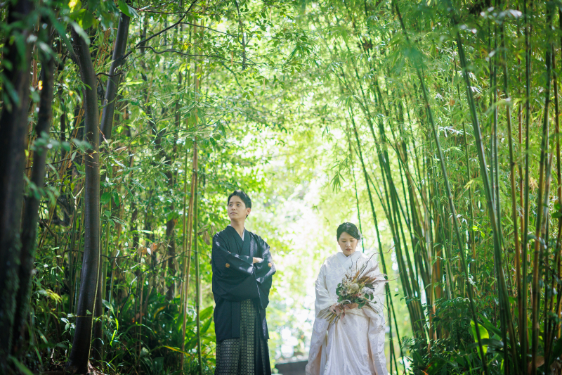 少し移動して、竹林の中でクールに♩