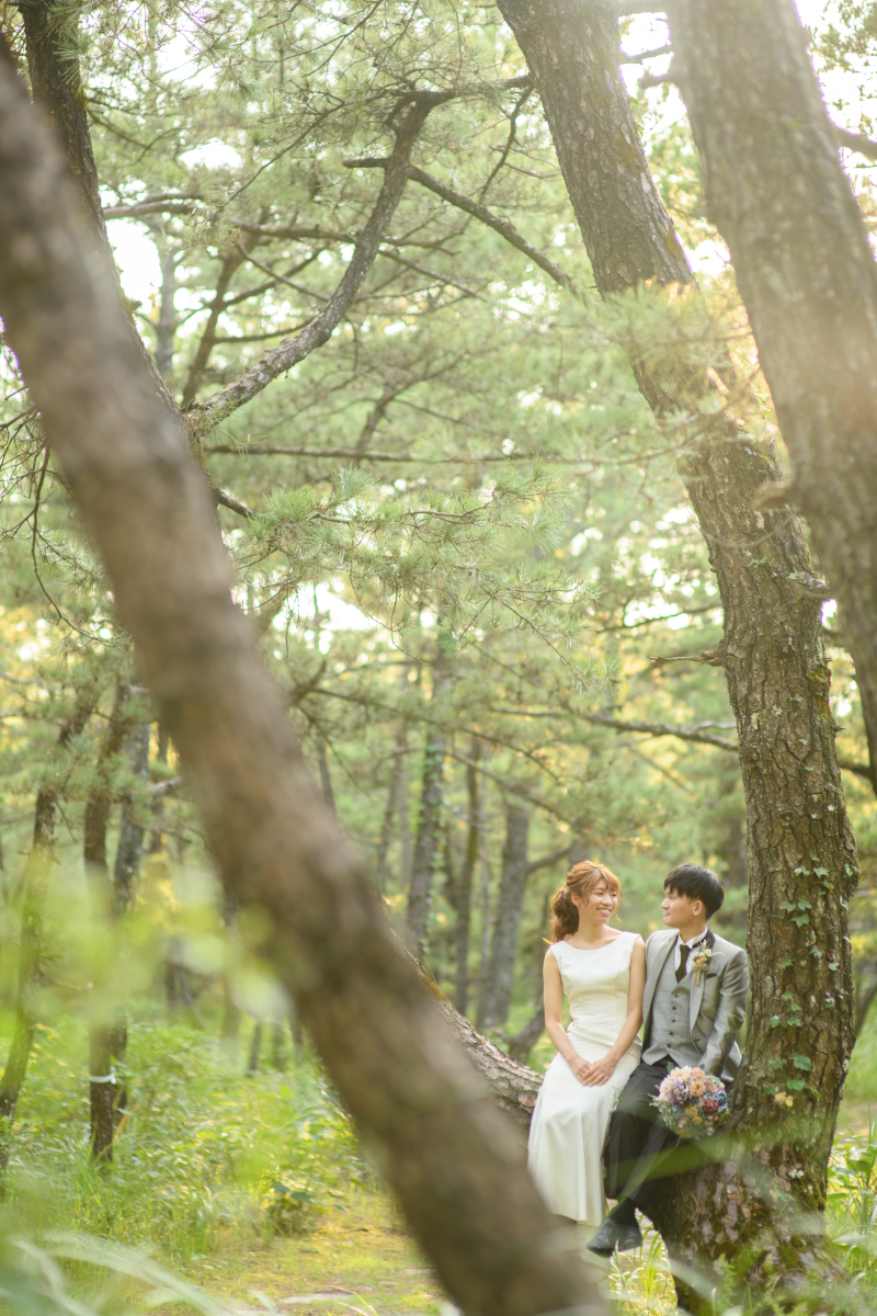 木の上にちょこんっ♩