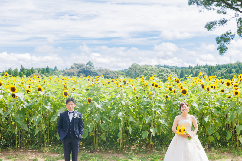 長身の向日葵 ♡