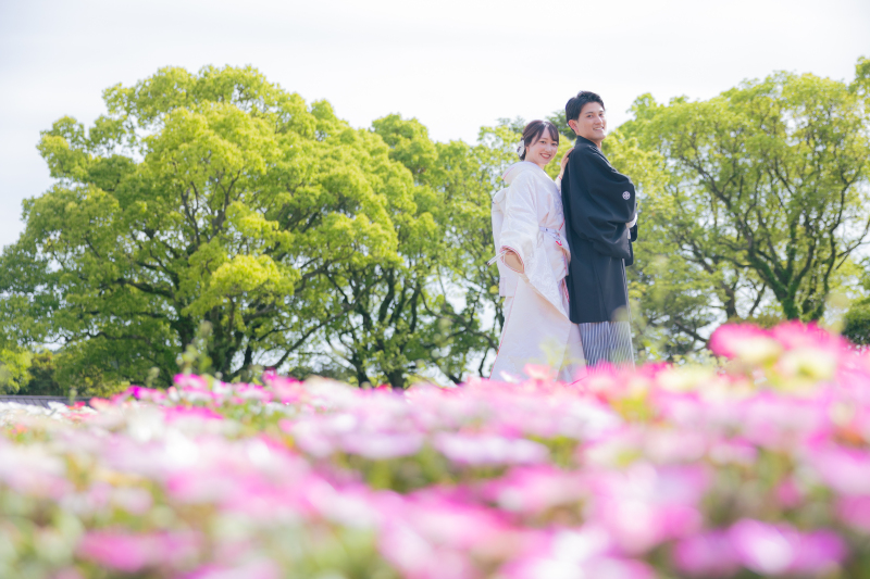 春色のお花と、、