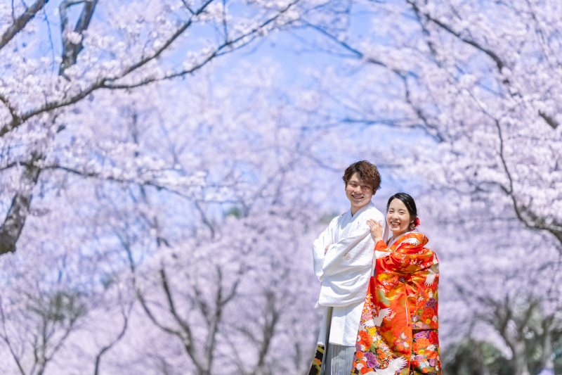 ✴︎いろんなポーズで桜尽くし✴︎