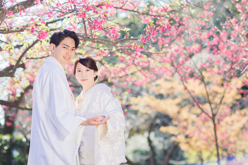 河津桜ってどんな桜??