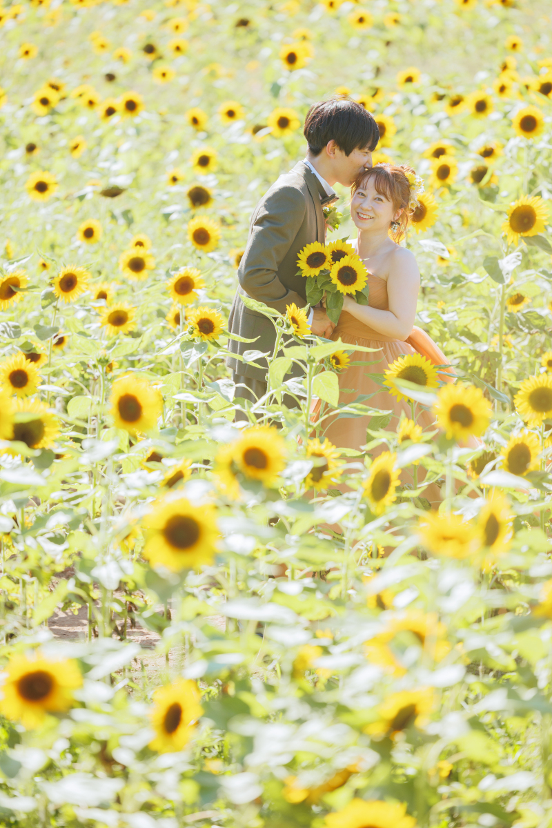 たくさんのひまわりに囲まれて