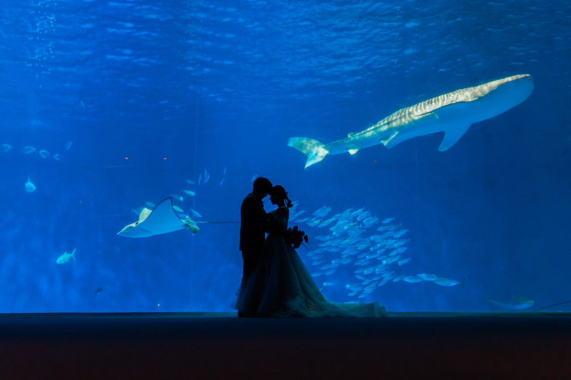 洋装にお色直し♡→→→