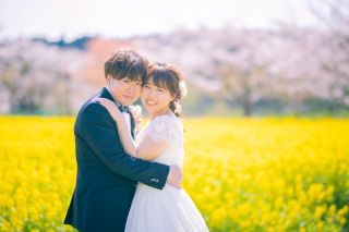 ♡菜の花と桜！？♡幻想的なシュチュエーションでの撮影♩