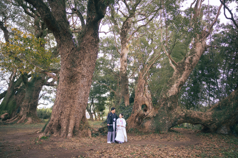 カンマチスタジオ_【 New Photo 】