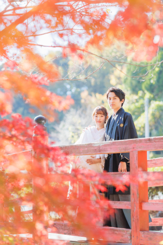 カンマチスタジオ_【 Winter 】12.1.2月